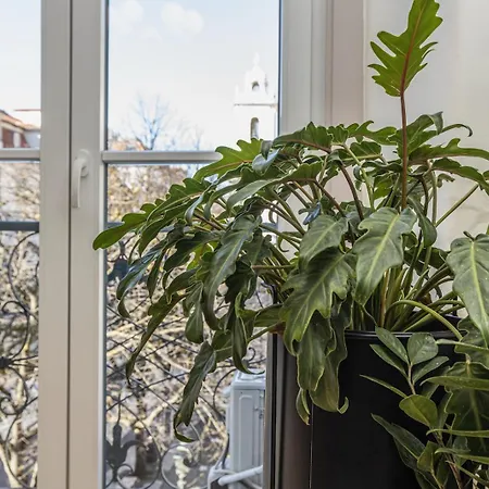 Sao Paulo Trendy Plaza